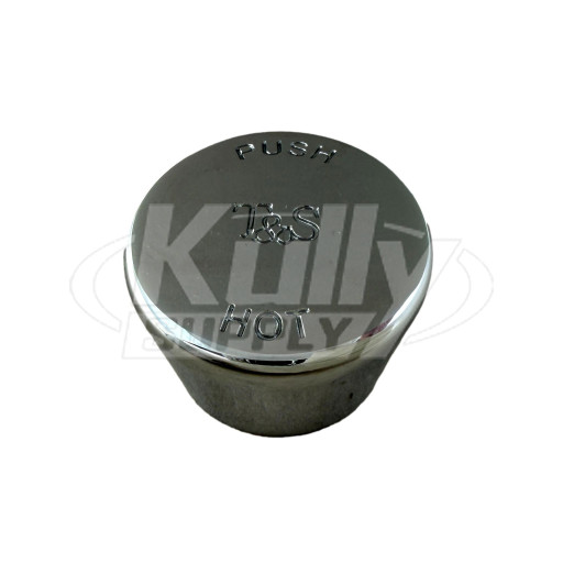 T&S Brass 014193-40 Blank Push Cap Assembly