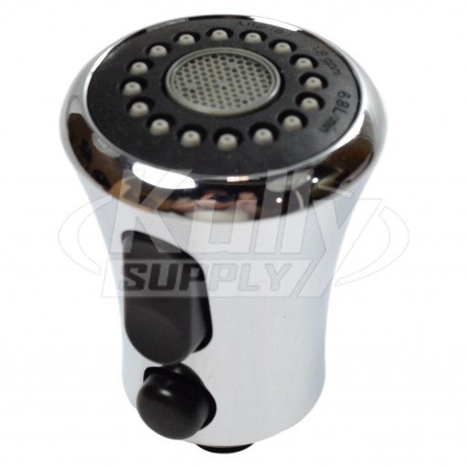 American Standard M953675-0020A CP Spray Assembly