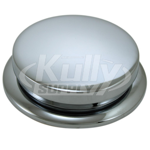 Halsey Taylor 99000C Button Assembly