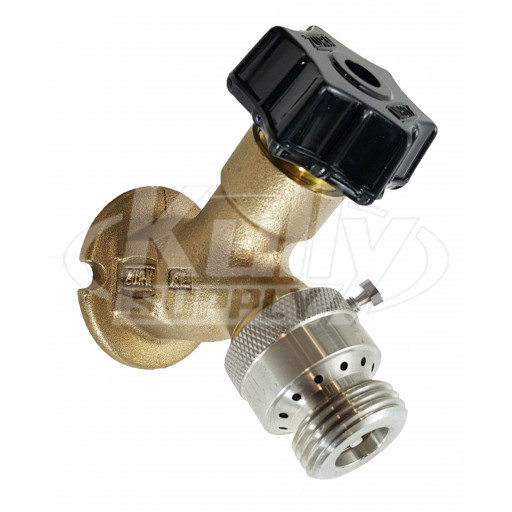 Zurn Z1341XL-P34 Wall Faucet ¾” lead free
