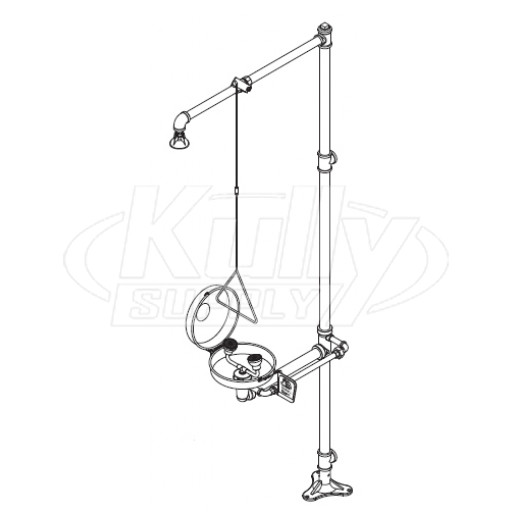 Bradley S19-310DCBF Barrier-Free Eye/Face Wash