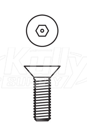 Acorn 0152-020-000 1/4-20 X 7/16" Flat Head Allen W/Ctr Reject S.Stl Screw