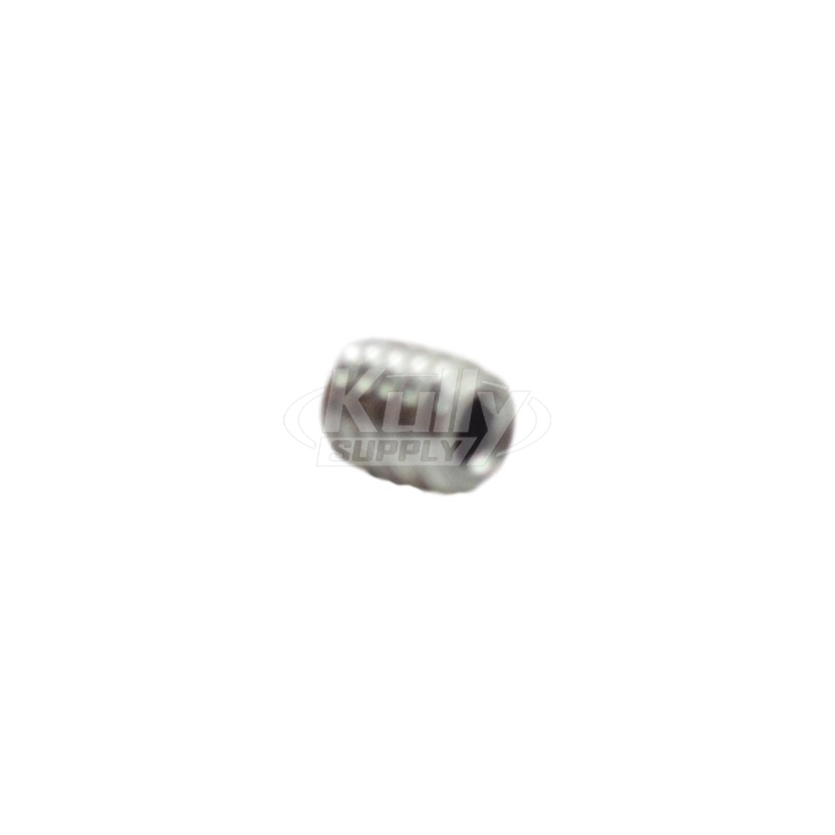 Bradley 160-135 Set Screw 6/32" X 3/16"