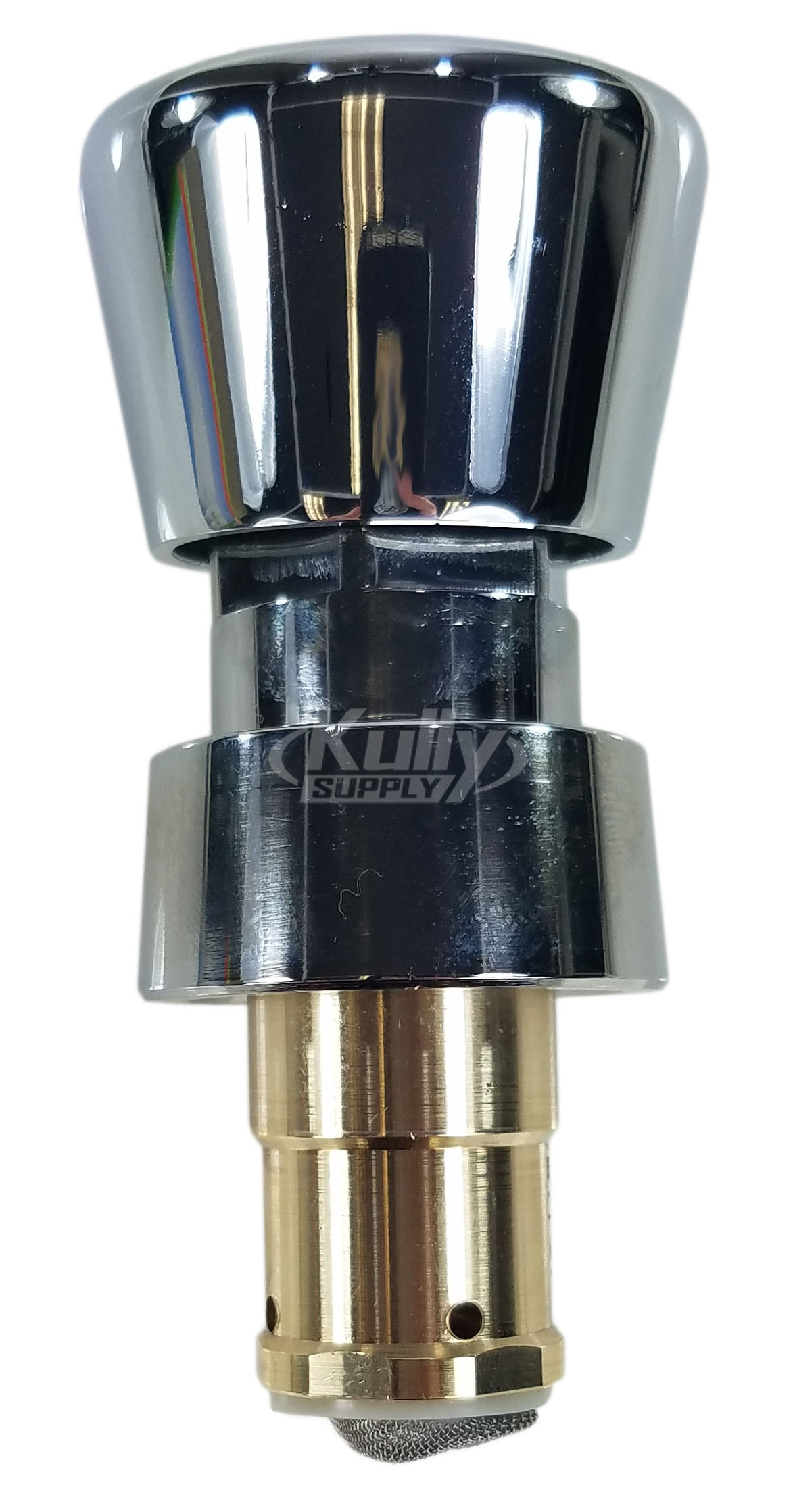T&S Brass 238AC Metering Cartridge, Cold Push Button