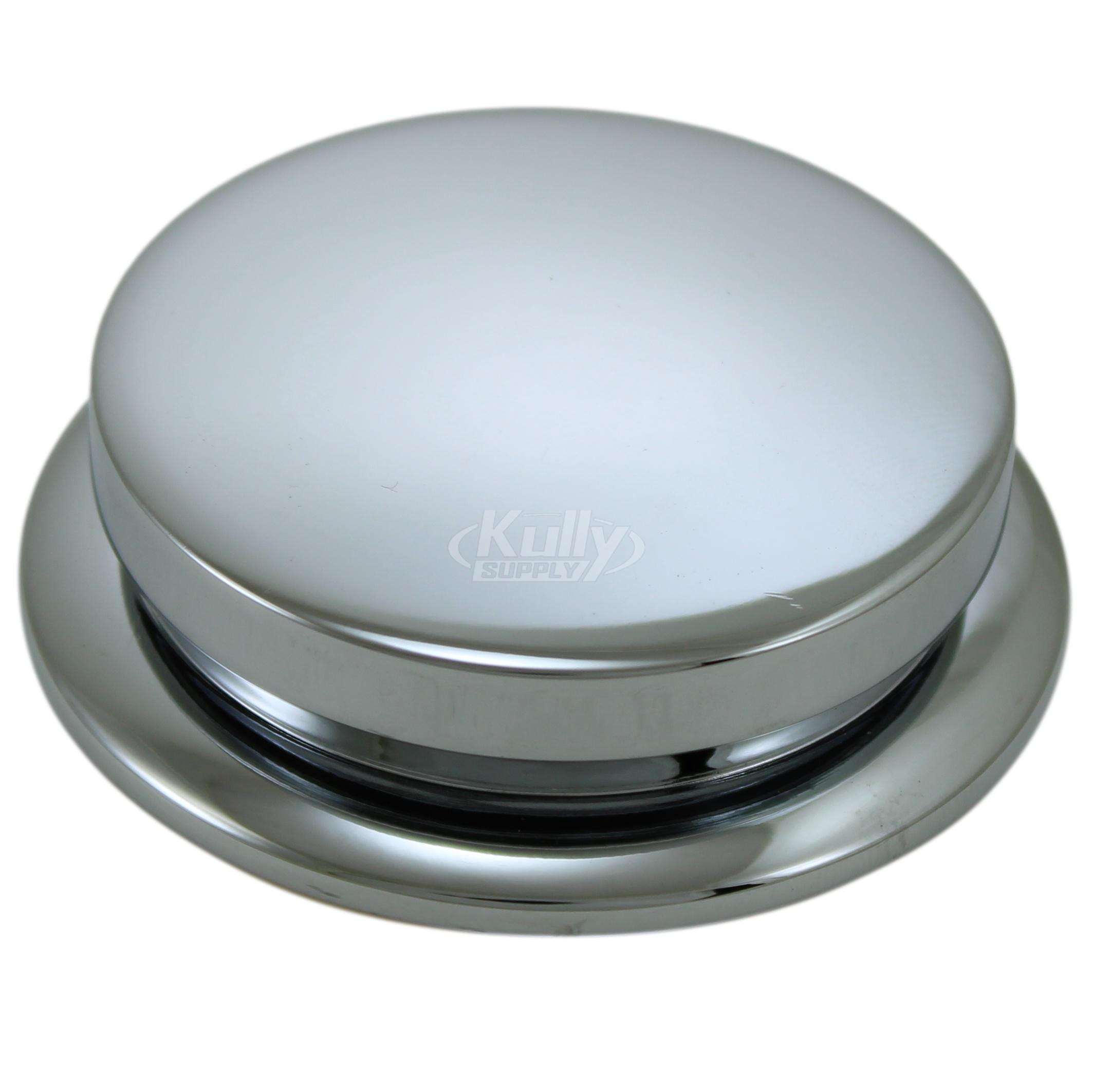 Halsey Taylor 99000C Button Assembly