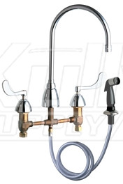 Chicago 200-AGN8AE35-317AB Concealed Hot and Cold Water Sink Faucet with Side Spray