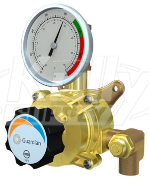 Guardian G3600 Tempering Valve 6 Gallon (Discontinued)