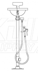 Speakman SE-430 Pedestal-Mounted Eye/Face Wash