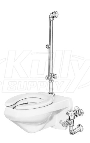 Sloan Royal BPW 1040-1.6 Bedpan Washer Flushometer