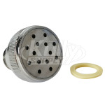 T&S Brass B-0103 Rosespray Outlet, 3/8" NPT Male Threads