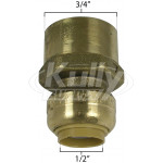 SharkBite U068LF Connector 1/2"SB X 3/4" FNPT - Lead Free