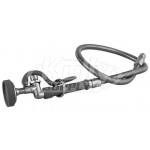 T&S Brass B-0100 Pre-Rinse Spray Valve With 36" Flexible Stainless Steel Hose