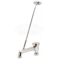 Zurn G60555 5" Vacuum Breaker Spout - Rough Chrome 