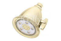Speakman S-2005-HB-BB 5-Jet Anystream 2000 Showerhead - Bright Brass (Discontinued)