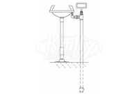 Speakman SE-440 Pedestal-Mounted Eye/Face Wash (with Rectangular Stainless Steel Receptor)