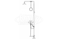 Speakman SE-605 Combination Drench Shower & Eye/Face Wash (with Rectangular Stainless Steel Receptor and Impeller Action Showerhead)