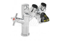 Speakman SEF-1850-8 Faucet Mounted Eyewash 