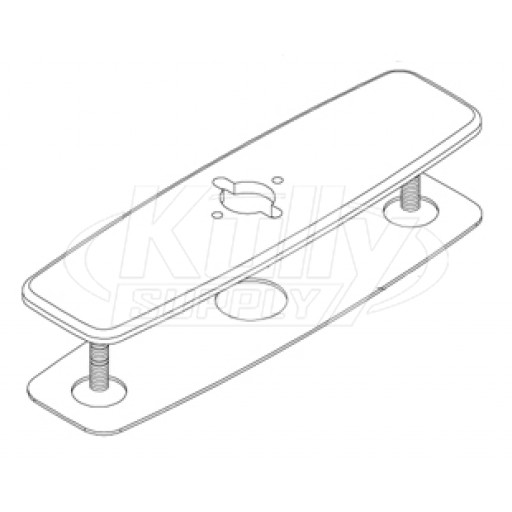 Zurn P6920-CP8-2 Cover Plate 8" (with Hole for Z6920 Faucets)