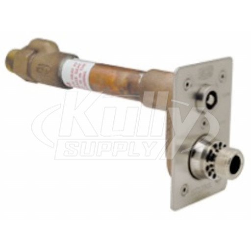 RI Zurn Z1321-CXL-12 - Exposed, Non-Freeze Lead-Free Wall